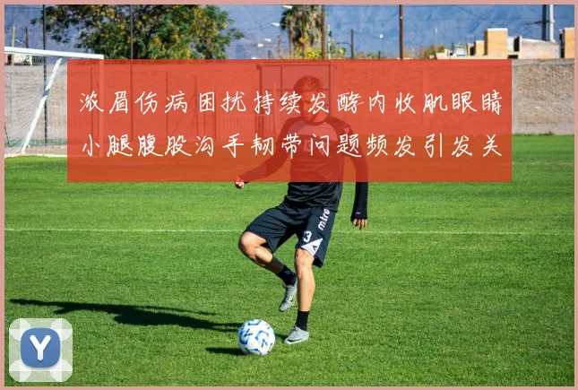 浓眉伤病困扰持续发酵内收肌眼睛小腿腹股沟手韧带问题频发引发关注