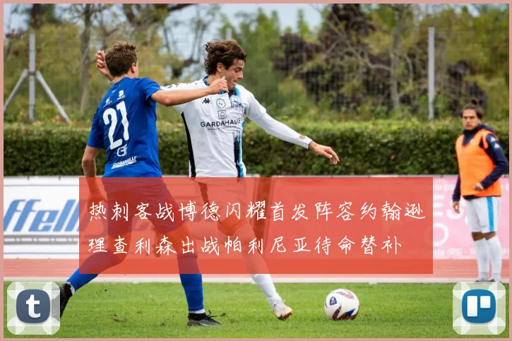 热刺客战博德闪耀首发阵容约翰逊理查利森出战帕利尼亚待命替补