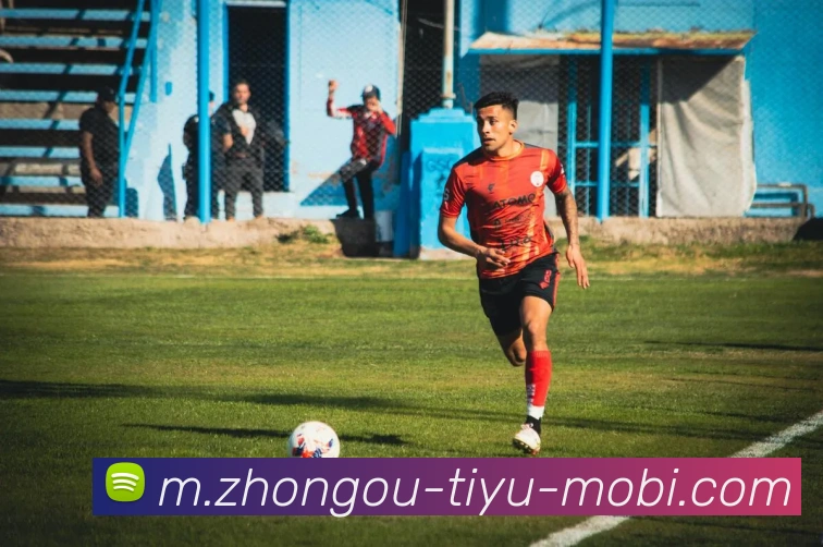 中欧体育平台生态图