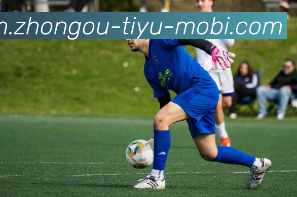 中欧体育全站App